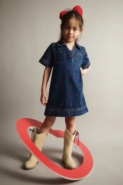 Denim Polo Dress