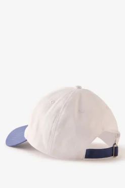 License Graphic Dad Cap
