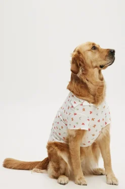 Novelty Dog Shirt