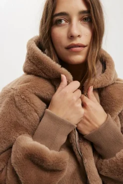 Teddy Hooded Jacket